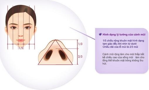 Tại sao nên sớm phẫu thuật thu gọn cánh mũi bằng công nghệ nội soi Tại sao nên sớm phẫu thuật thu gọn cánh mũi bằng công nghệ nội soi