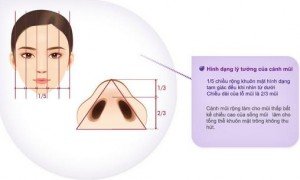 Thu hẹp cánh mũi nội soi bao nhiêu tiền?
